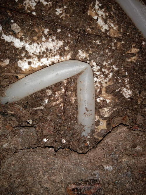 临泽堵点精准查找